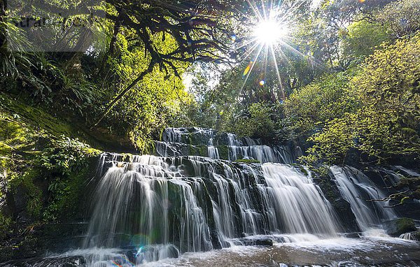Purakaunui Falls  Wasserfall  Sun Star  Die Catlins  Otago  Südland  Neuseeland  Ozeanien