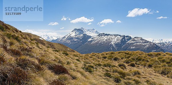Blick auf den Ernslaw-Gletscher  Mount Alfred  Glenorchy bei Queenstown  Südliche Alpen  Otago  Südland  Neuseeland  Ozeanien