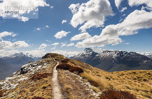 Wanderweg  Mount Alfred  Glenorchy bei Queenstown  Südliche Alpen  Otago  Südland  Neuseeland  Ozeanien