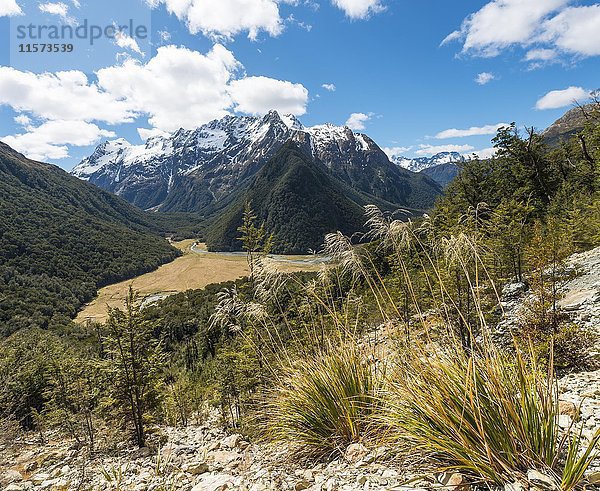 Blick auf die Routeburn Flats  Routeburn Track  hinter Humboldt Mountains  Westland District  Westküste  Southland  Neuseeland  Ozeanien