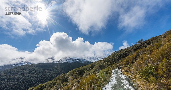 Wanderweg zum Key Summit  Fiordland National Park  Westküste  Südland  Neuseeland  Ozeanien