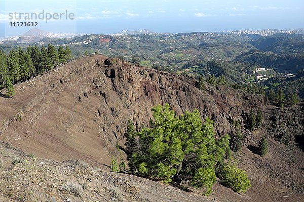 Krater Pinos de Gáldar  Gran Canaria  Kanarische Inseln  Spanien  Europa
