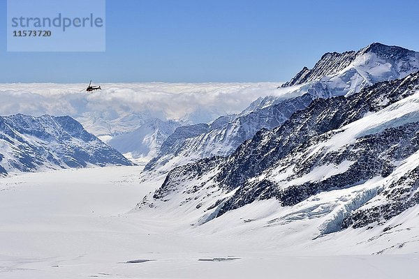 Helikopter über Aletschgletscher mit Schnee  Blick vom Jungfraujoch  Kanton Wallis  Schweiz  Europa