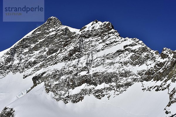 Blick vom Jungfraujoch auf den Gipfel der Jungfrau  Kanton Wallis  Schweiz  Europa