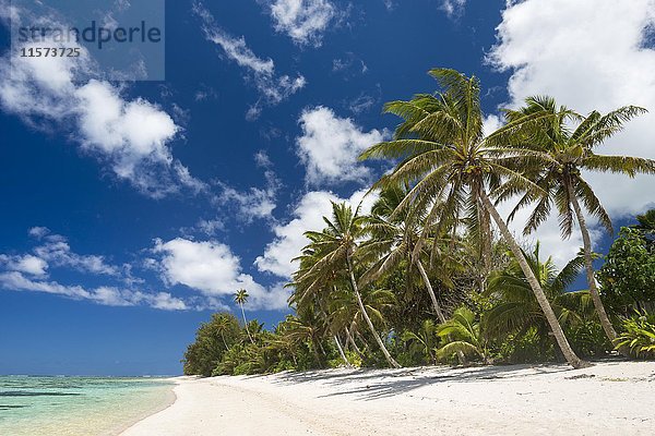 Sandstrand mit Palmen und türkisfarbenem Wasser  Rarotonga  Cookinseln  Ozeanien