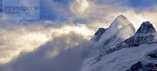 Wetterhorn Berg in Wolken  Schweizer Alpen  Schweiz  Europa