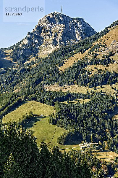 Blick vom Sudelfeld zum Wendelstein  Mangfallgebirge  Alpenvorland  Oberbayern  Bayern  Deutschland  Europa