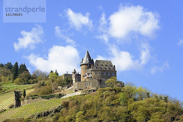 Burg Stahleck  Bacharach  Oberes Mittelrheintal  Rheinland Pfalz  Deutschland  Europa