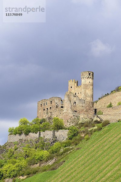 Ruinen von Nollig in Lorch am Rhein  Oberes Mittelrheintal  Hessen  Deutschland  Europa