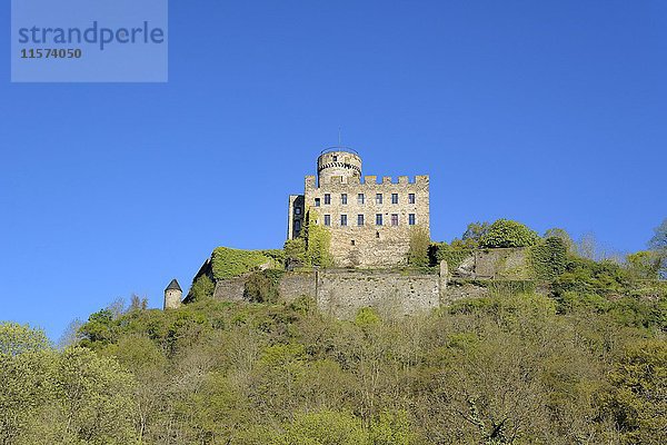 Burg Pyrmont in Roes  Eifel  Rheinland-Pfalz  Deutschland  Europa