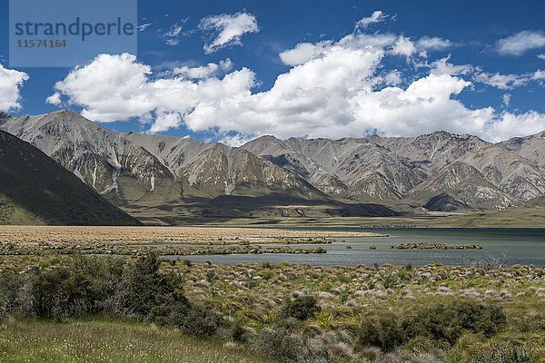 Lake Heron  Region Canterbury  Südland  Neuseeland  Ozeanien