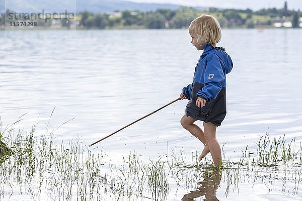 Kleinkind mit Stock stapft im Wasser  Bodensee  Hegne  Baden-Württemberg  Deutschland  Europa