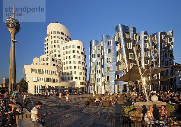 Neuer Zollhof mit Gehry-Gebäuden und dem Rheinturm  Düsseldorf  Nordrhein-Westfalen  Deutschland  Europa