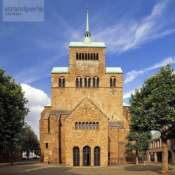 Mindener Dom St. Gorgonius und St. Peter  Minden  Nordrhein-Westfalen  Deutschland  Europa