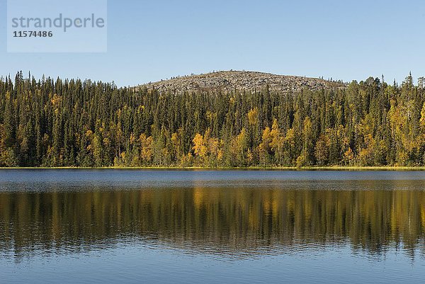 Landschaft am See Särkilompolo im Herbst  Lappland  Finnland  Europa