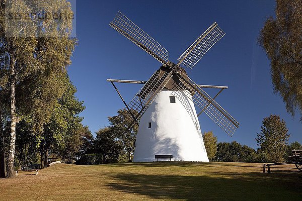 Windmühle  Reken  Münsterland  Nordrhein-Westfalen  Deutschland  Europa