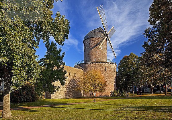 Kempener Stadtmühle mit Stadtmauer  Kempen  Niederrhein  Nordrhein-Westfalen  Deutschland  Europa