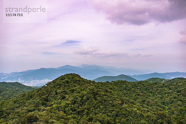 Blick über den Mossy Forest  Wald  Nebelwald  Nebel Regenwald  Cameron Highlands  Tanah Tinggi Cameron  Tanah Rata  Pahang  Malaysia  Asien