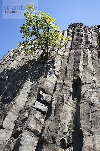 Vulkanisches Basaltgestein von Hegyest?  Balaton-Nationalpark  Plattensee  Ungarn  Europa