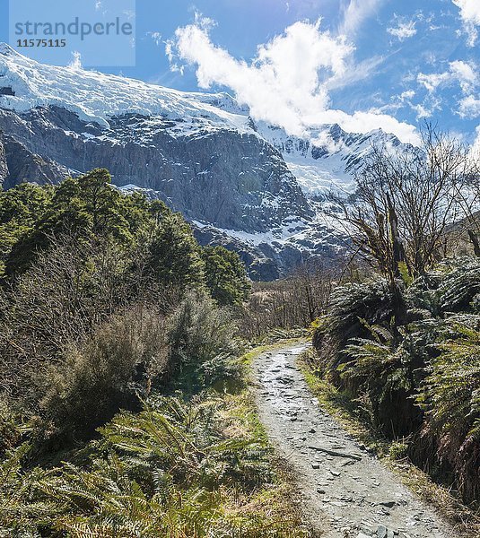 Wanderweg  Rob Roy Glacier  Mount Aspiring National Park  Otago  Südland  Neuseeland  Ozeanien