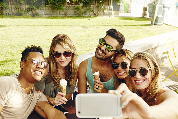 Männliche und weibliche Freunde nehmen Smartphone-Selfie im Park