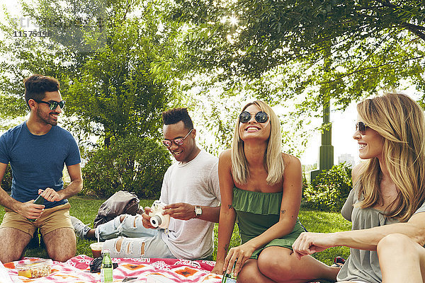 Fünf erwachsene Freunde picknicken im Park