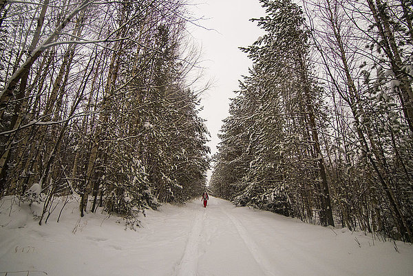 Freunde wandern durch verschneiten Wald  Russland