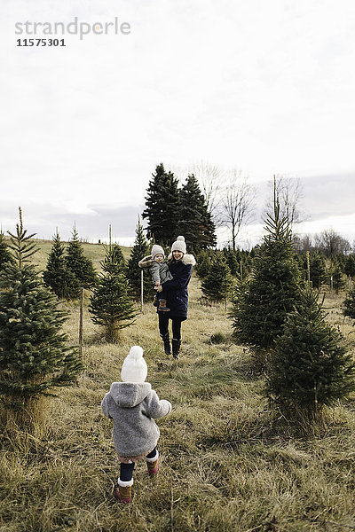 Mutter und kleine Mädchen in einer Weihnachtsbaumfarm  Cobourg  Ontario  Kanada