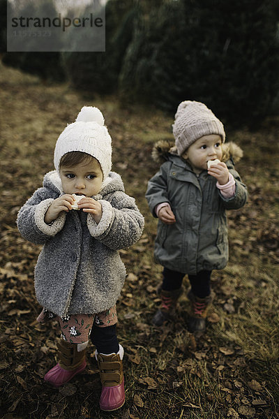 Kleine Mädchen essen Brot im Wald