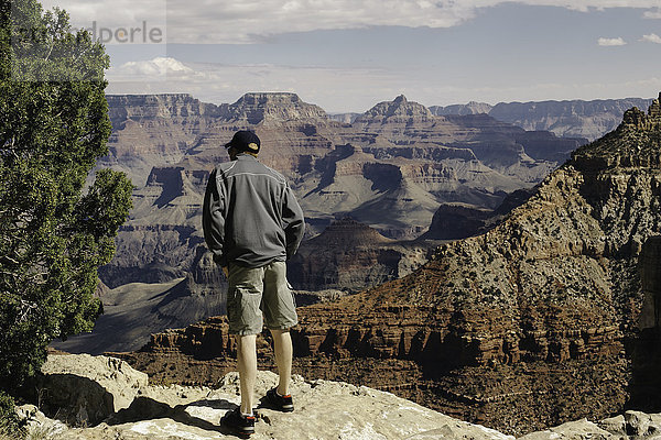 Mann über den Rand blickend  Rückansicht  Grand Canyon  Arizona  USA