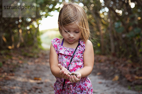 Mädchen hält Muscheln  Blowing Rocks Preserve  Jupiter  Florida  USA