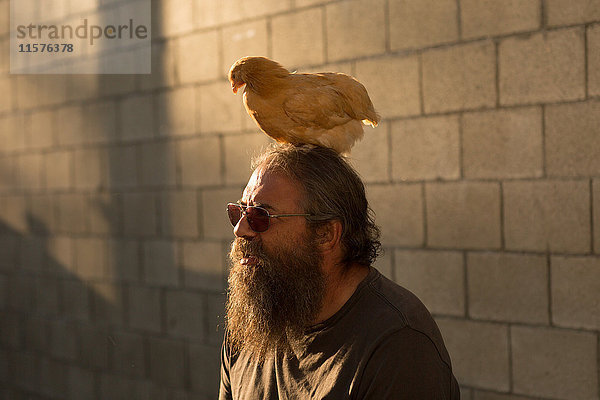 Erwachsener Mann mit Bart und Sonnenbrille  im Freien  Huhn auf dem Kopf sitzend