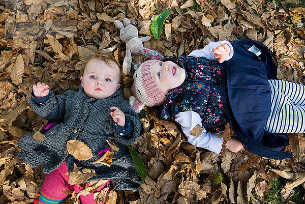 Overhead-Porträt von Kleinkind und Kleinkind auf Herbstblättern im Park