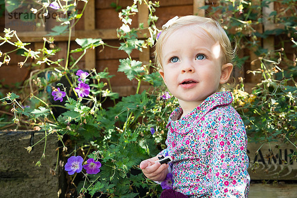 Blauäugiges kleines Mädchen schaut in den Garten