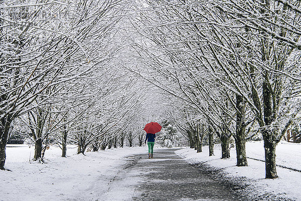 Frau  die einen Weg entlang geht  einen Regenschirm trägt  in schneebedeckter ländlicher Umgebung  Rückansicht