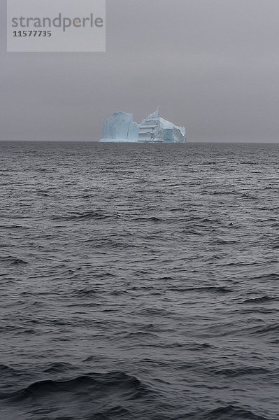 Eisberg am Horizont  Täuschungsinsel  Antarktis