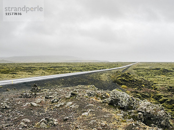 Flache Landschaft und Landstraße  Dyrholaey  Island