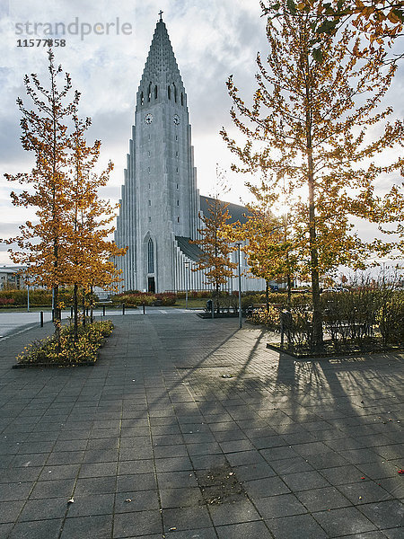 Kathedrale von Reykjavik und Bäume mit Herbstlaub  Reykjavik  Island