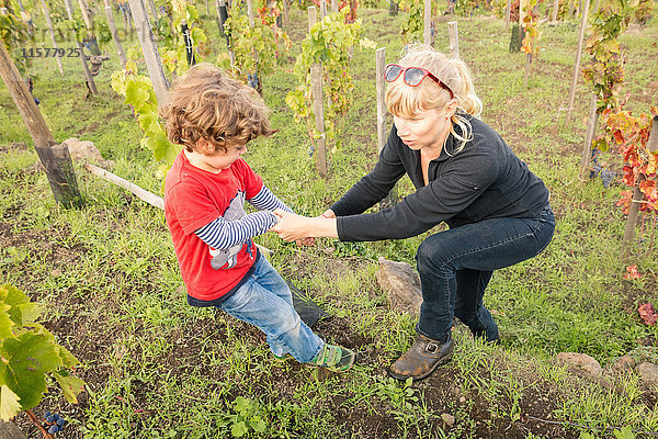 Junge hilft der Mutter im Weinberg