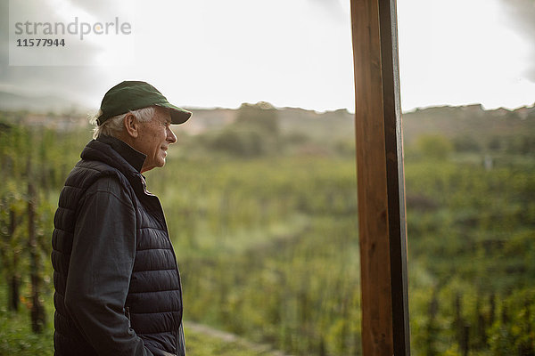 Älterer Mann mit Blick über die Weinberglandschaft