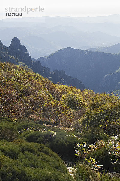 Frankreich  Südfrankreich  Regionaler Naturpark Haut-Languedoc  Caroux-Massiv im Herbst  südlicher Teil des Zentralmassivs