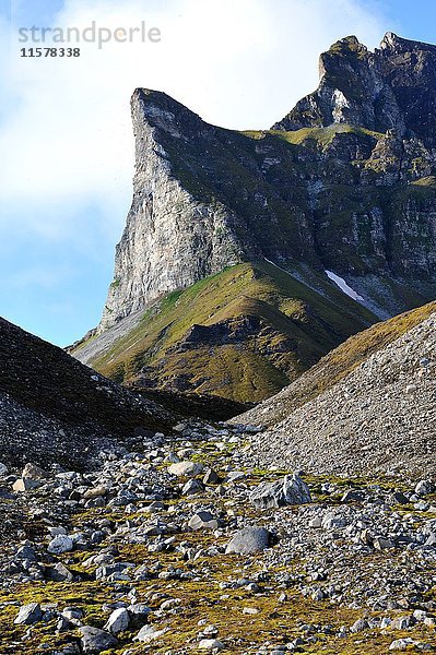 Arktis  Spitsberg  am Westufer des Trygghamna-Fjords  Bergkette