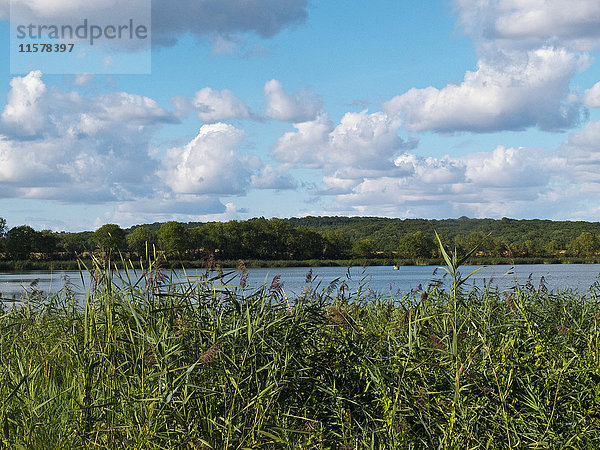 Frankreich  Mittel-Ost-Frankreich  Burgund  Teich von Epoisses