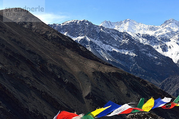 Indien  Ladakh  Indischer Staat Jammu und Kaschmir  Berglandschaft in der Region Temisgam  Relief und Erosion