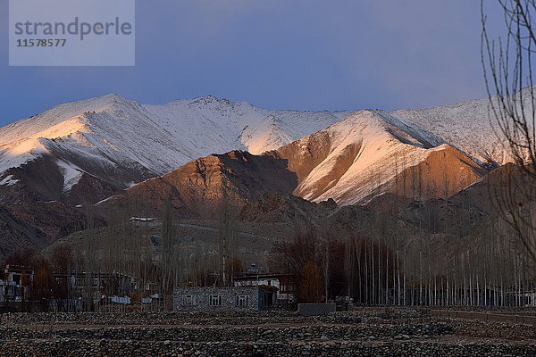 Indien  Ladakh  Indischer Staat Jammu und Kaschmir  Himalaya-Gebirge rund um die Stadt Leh