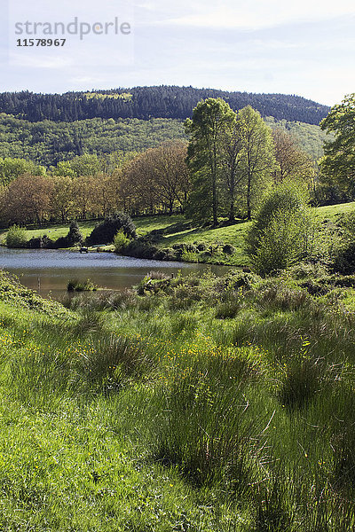 Frankreich  Südwestfrankreich  Regionaler Naturpark Haut-Languedoc  Montagne Noire  Hochwasserschutzstruktur