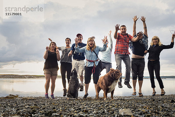 Porträt einer erwachsenen Familie mit springenden Hunden am Kiesstrand  Maine  USA