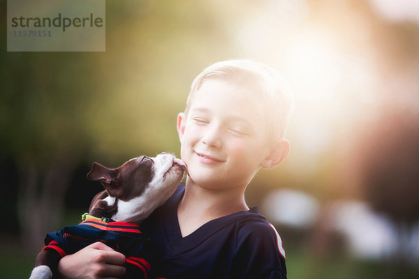 Boston-Terrier-Welpe leckt Jungen das Gesicht