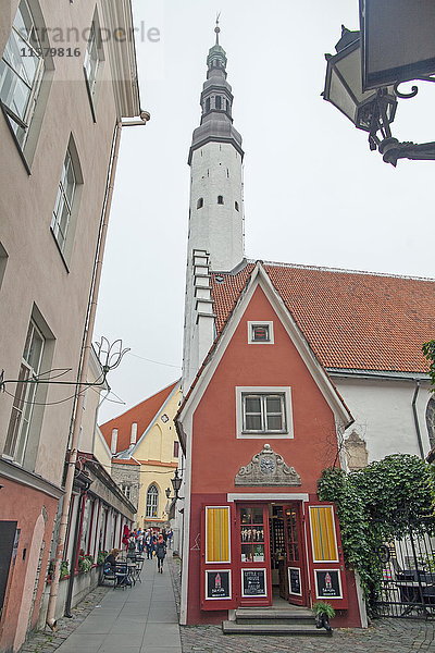Estland  Tallinn  Rathausturm