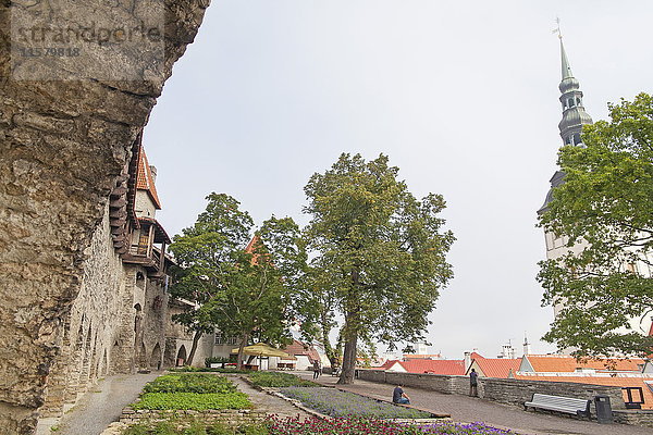 Platz in Tallinn  Estland
